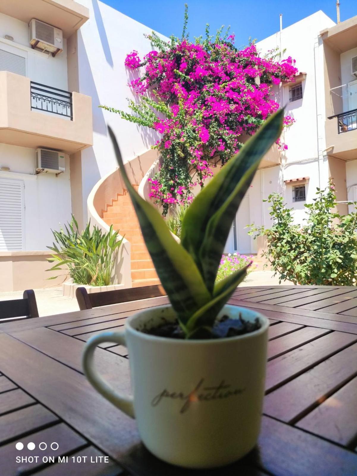 Yannis Apartments Amoudara  Luaran gambar